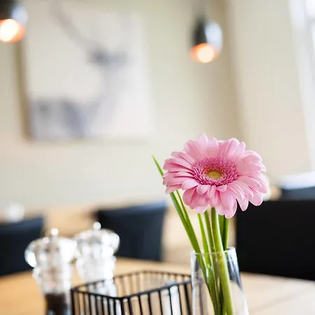 Atomis Munich 3*